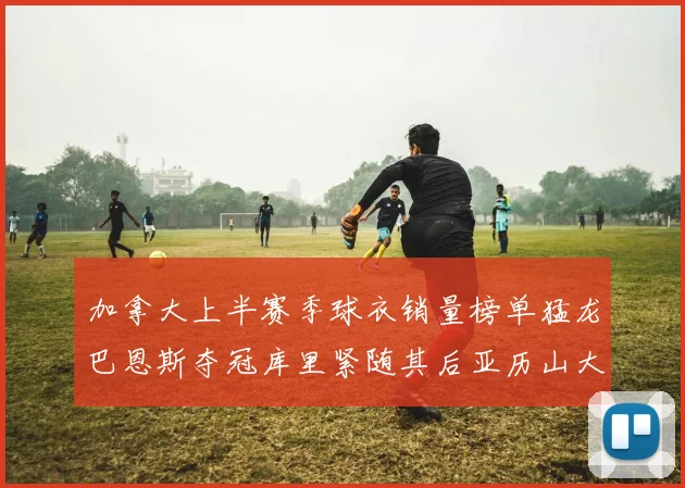 加拿大上半赛季球衣销量榜单猛龙巴恩斯夺冠库里紧随其后亚历山大位列第五